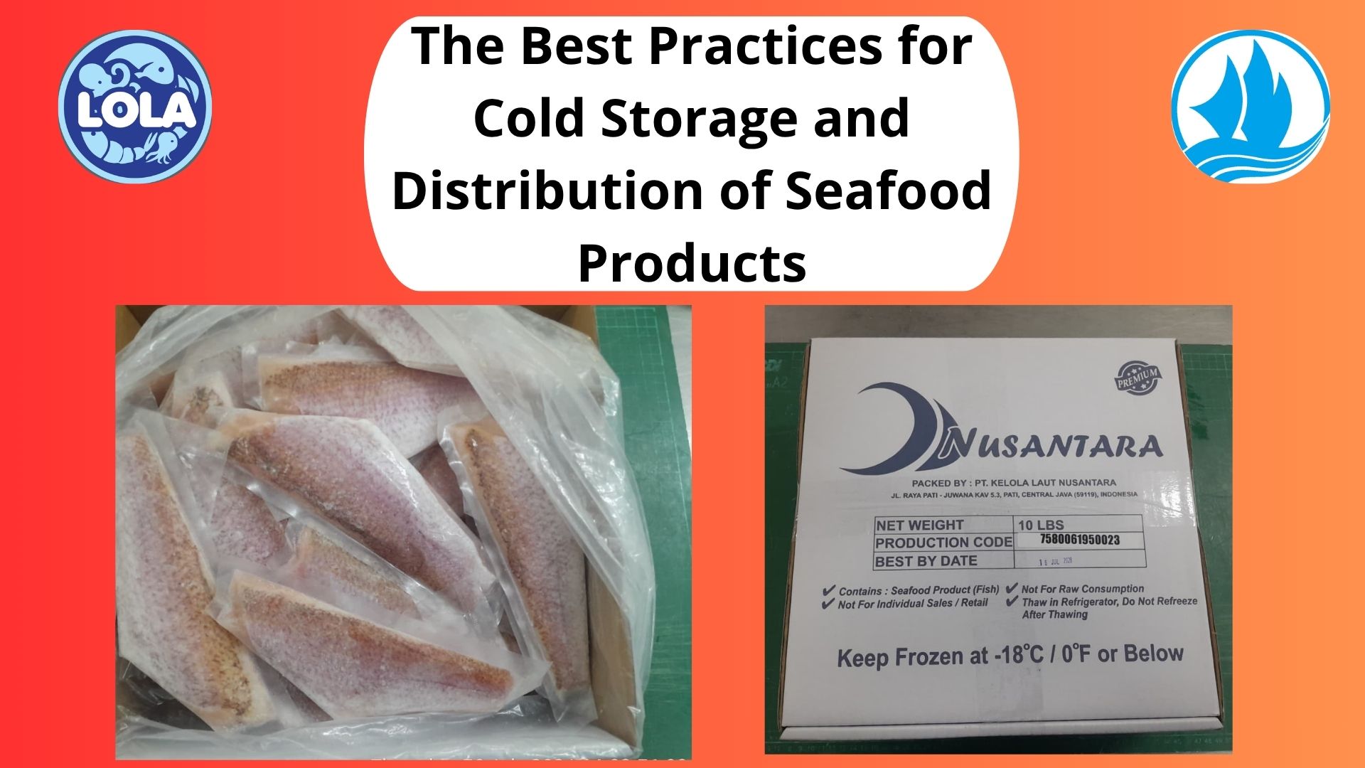  The Best Practices for Cold Storage and Distribution of Seafood Products